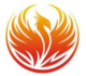 Phoenix IT Solutions